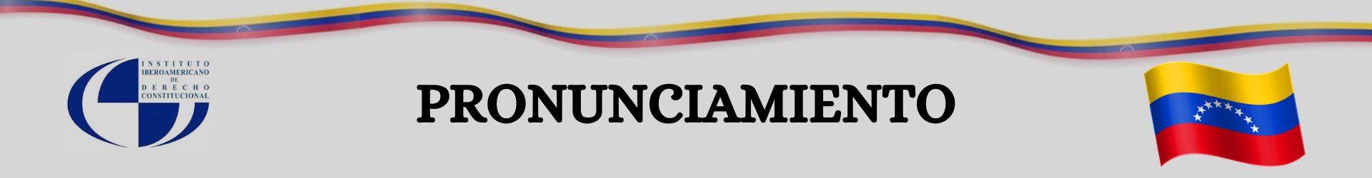 Pronunciamiento del Instituto Iberoamericano de Derecho Constitucional respecto a los recientes acontecimientos en Venezuela
